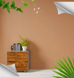 feel the renovation